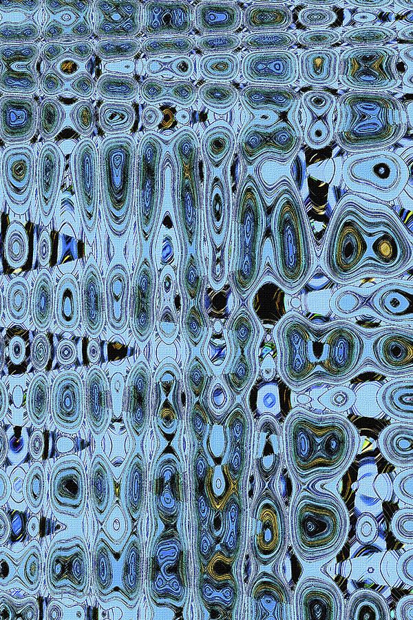 Dead Saguaro Abstract #1 Digital Art by Tom Janca