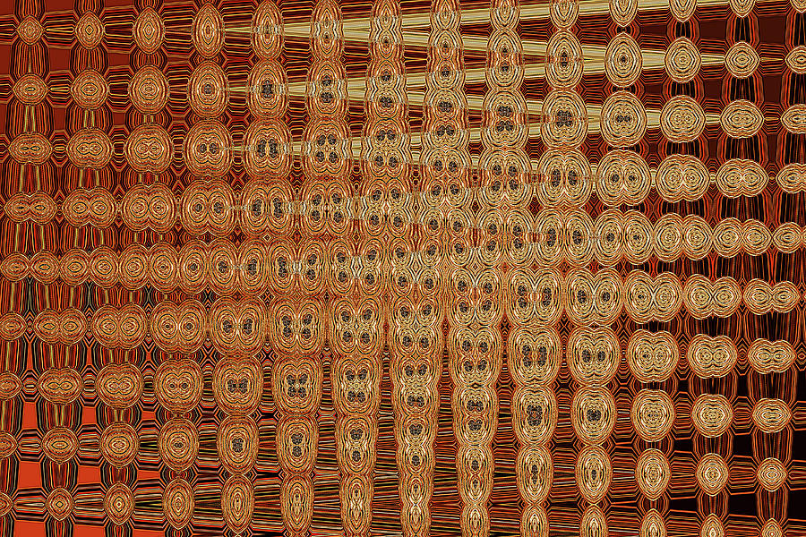 Dead Saguaro Cactus Ribs Abstract #1 Digital Art by Tom Janca