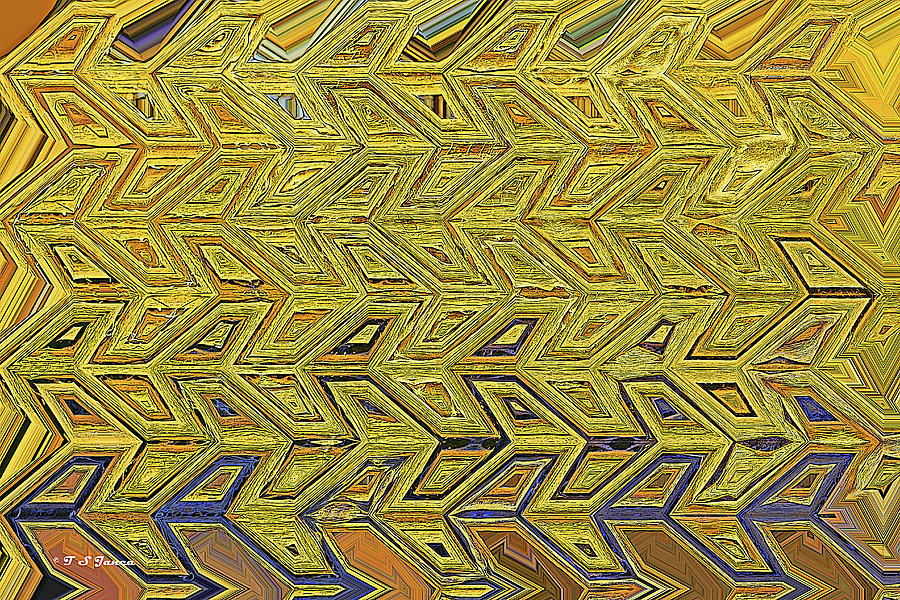 Dead Saguaro Ribs Abstract #1 Digital Art by Tom Janca