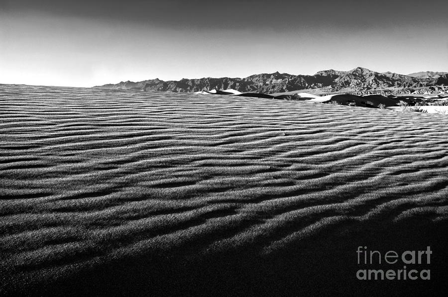 Black And White Photograph - Death Valley 14 by Micah May
