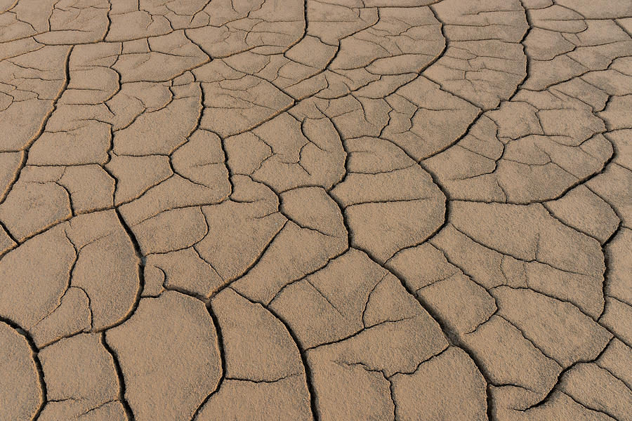 Mud Cracks #2 Photograph by Ken Weber