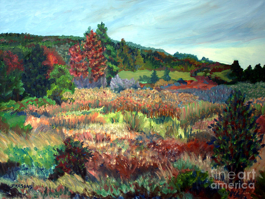 Debbis Meadow, Brattleboro, Vermont #1 Painting by Pamela Parsons