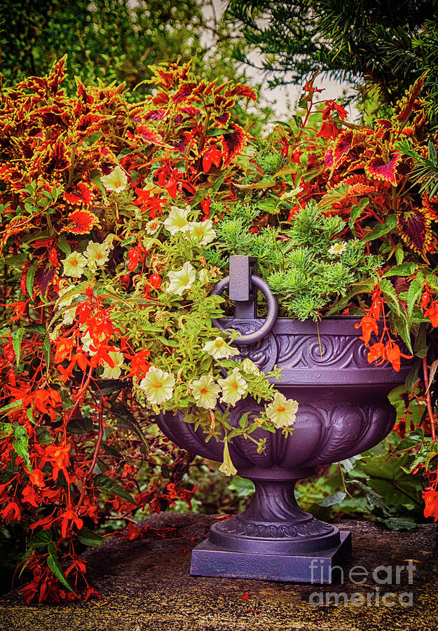Decorative Flower Vase In Garden #1 Photograph by Ariadna De Raadt
