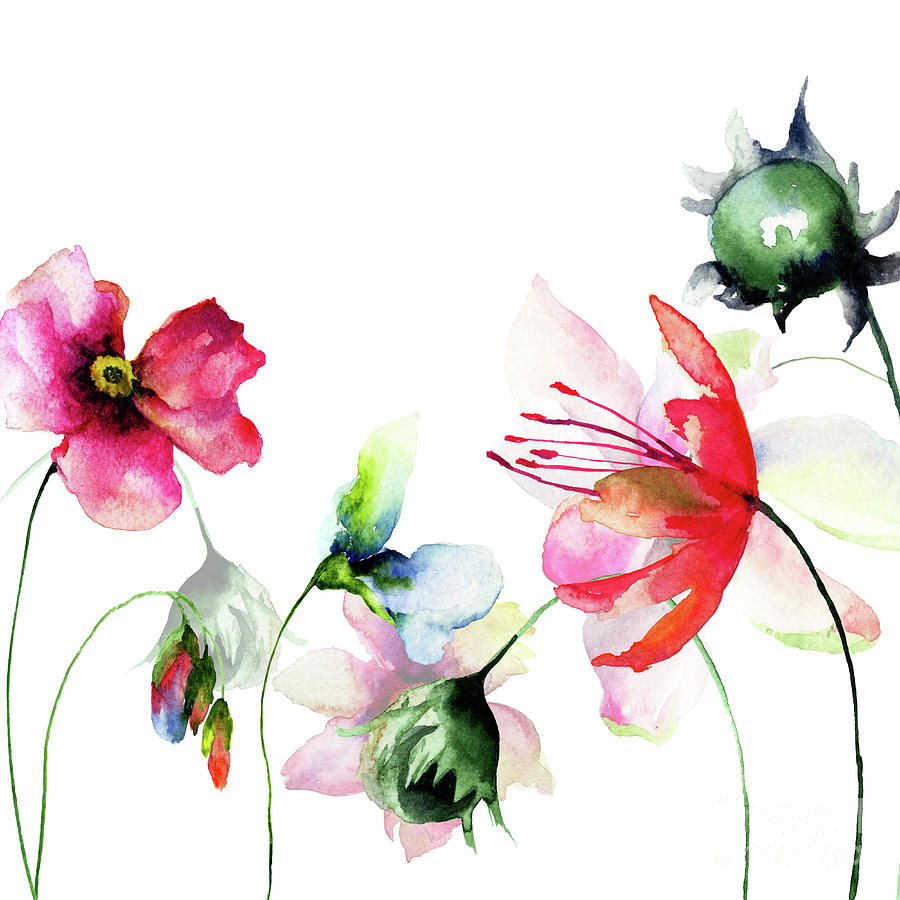 Wild flowers watercolor illustration Painting by Regina Jershova - Pixels