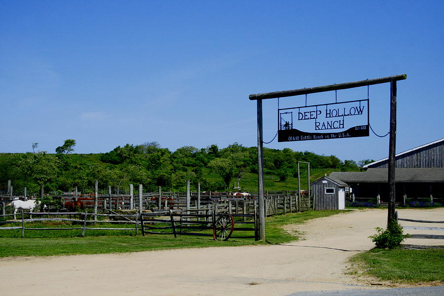 Deep Hollow Ranch Montauk #1 Photograph by Christopher J Kirby
