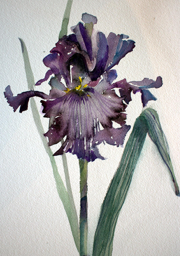 Iris Painting - Deep Purple #1 by Mindy Newman