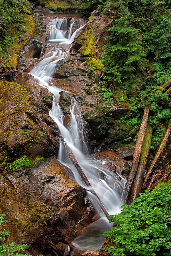 Mount Rainier National Park Photograph - Deer Creek Falls #1 by Geoffrey Ferguson