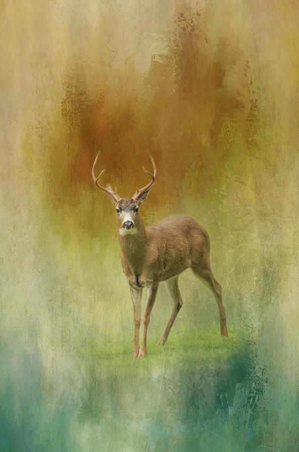 Deer One - textured Digital Art by Marilyn Wilson