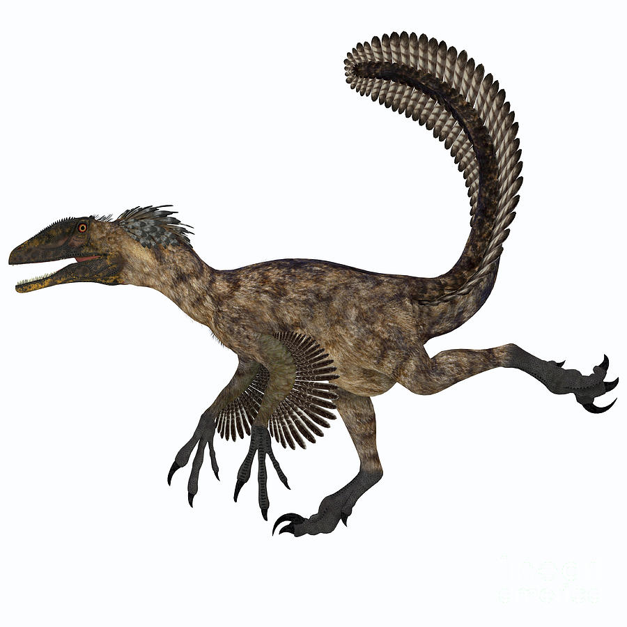 Динозавры которые прыгают