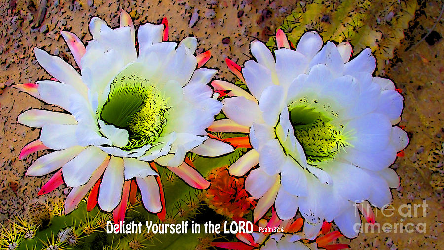 Psalm Photograph - Delight Yourself in the LORD #1 by Beverly Guilliams