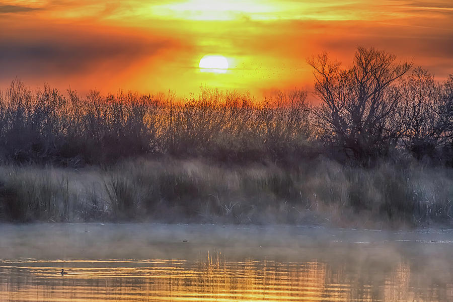 Delta Sunrise #1 Photograph by Marc Crumpler