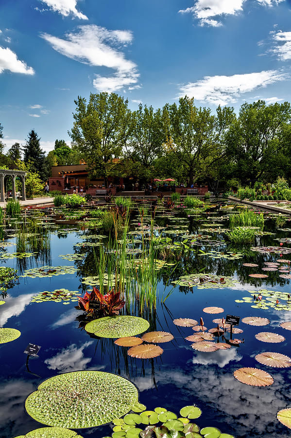 Denver Botanic Gardens #1 Photograph by Mountain Dreams