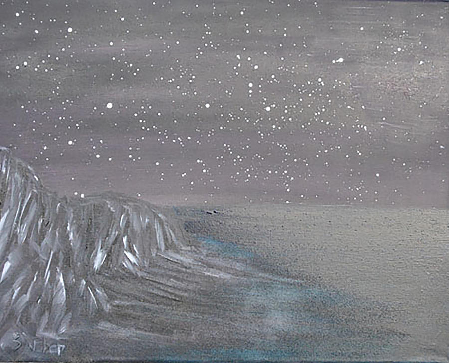 Depth of the Night Painting by Suzanne Surber