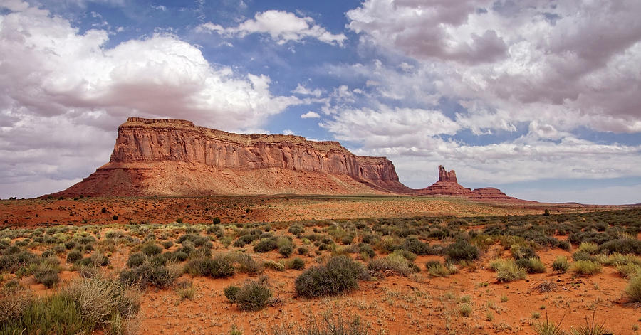 Desert Clarity #1 Photograph by Leda Robertson