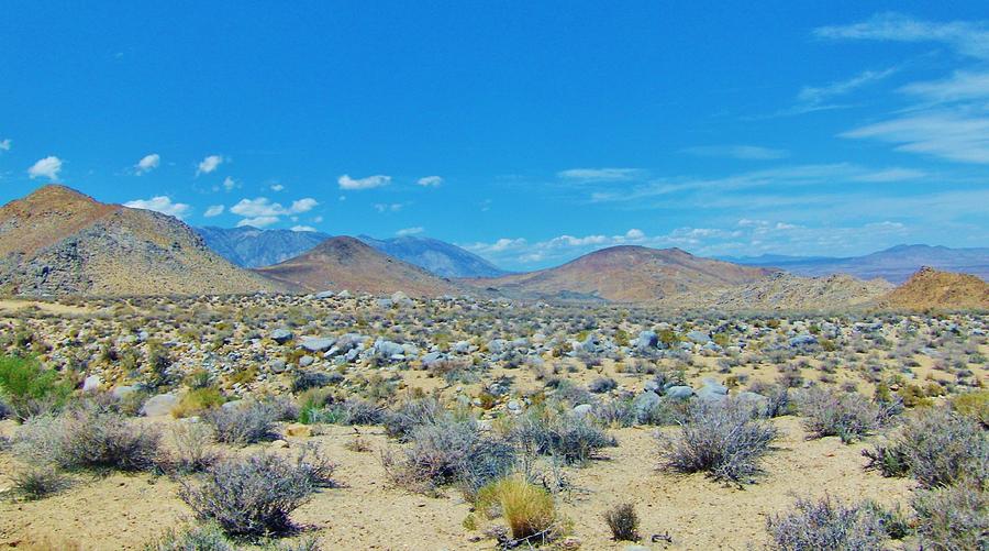 Desert Comfort Photograph by Marilyn Diaz - Fine Art America