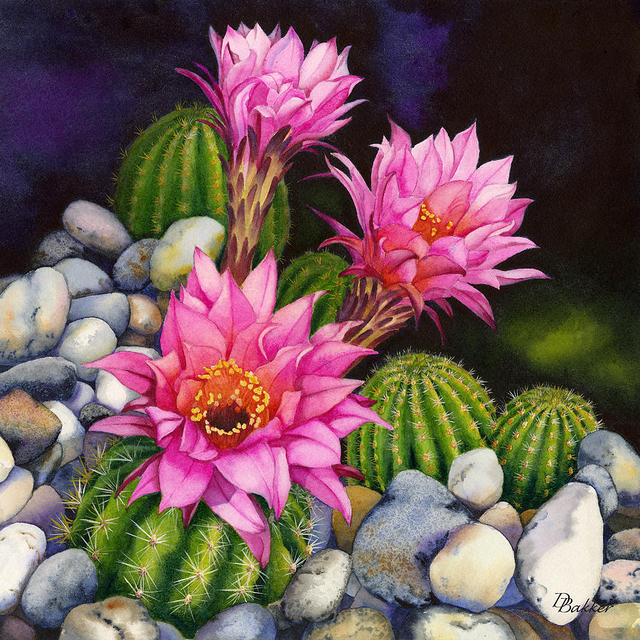 Desert Garden, Pink Painting by Debbie Bakker - Fine Art America