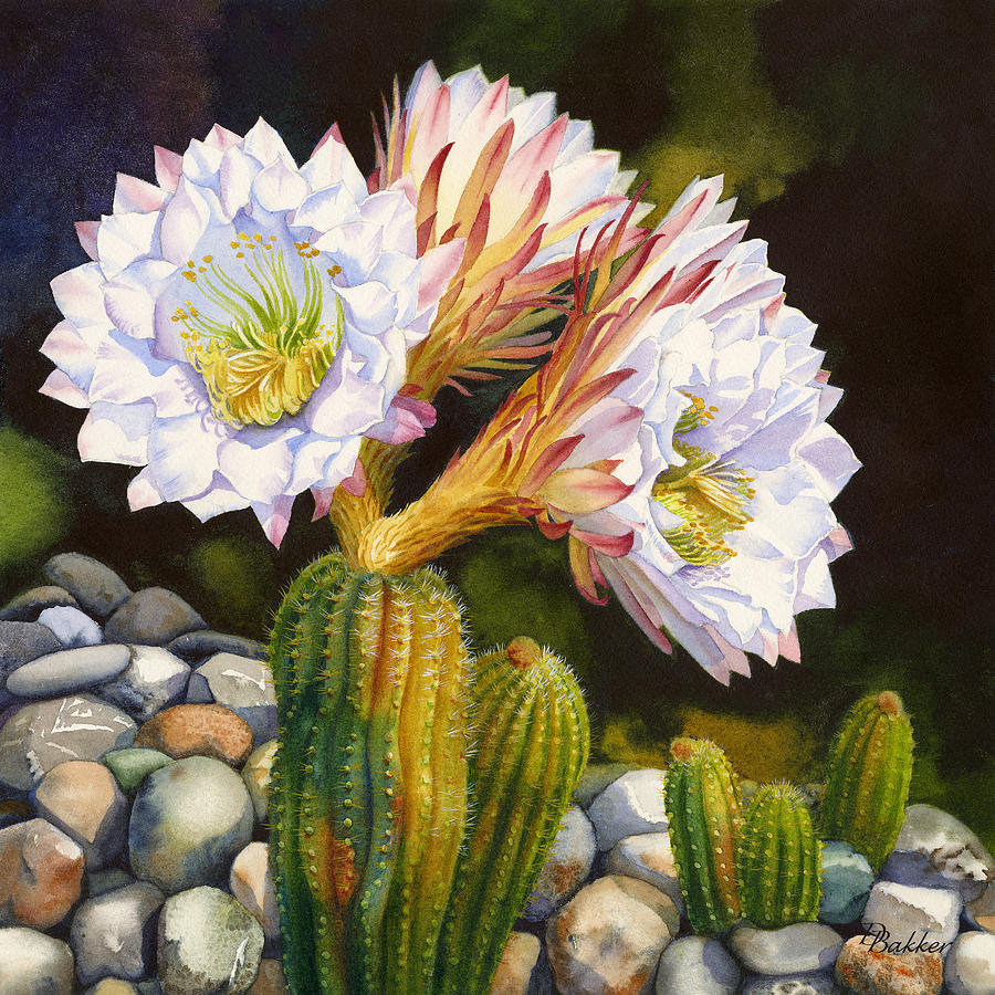 Desert Garden, White Painting by Debbie Bakker - Fine Art America