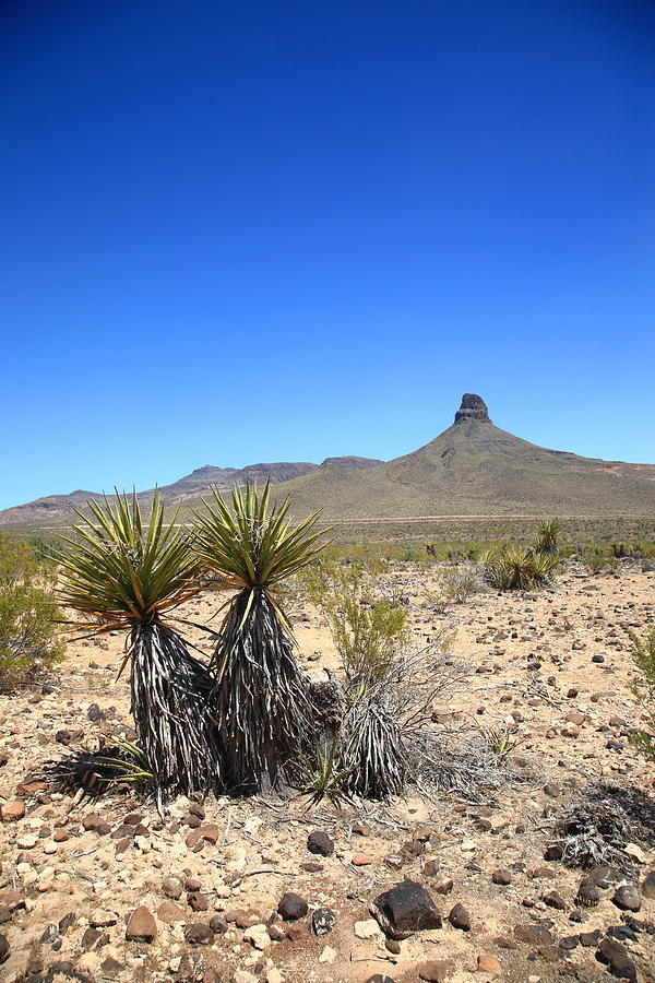 Desert Landscape #1 Photograph by Frank Romeo