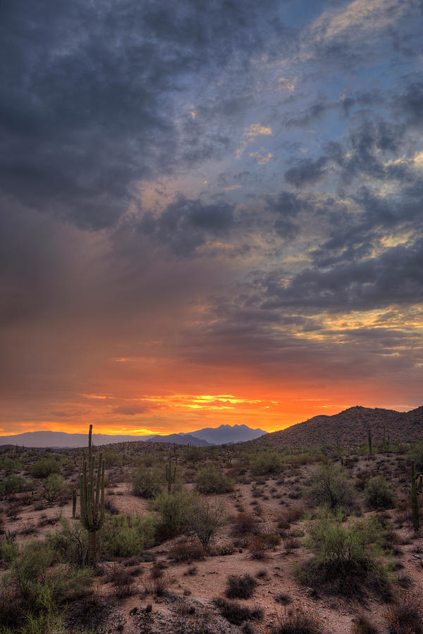 Desert Sunrise  #1 Photograph by Sue Cullumber