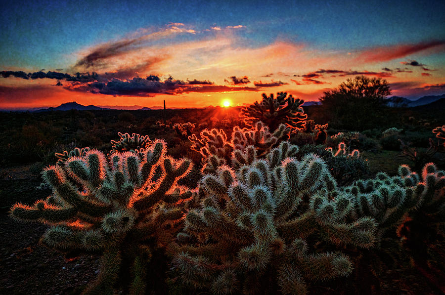Desert Sunset  #2 Photograph by Saija Lehtonen
