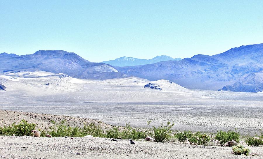 Desert White #1 Photograph by Marilyn Diaz