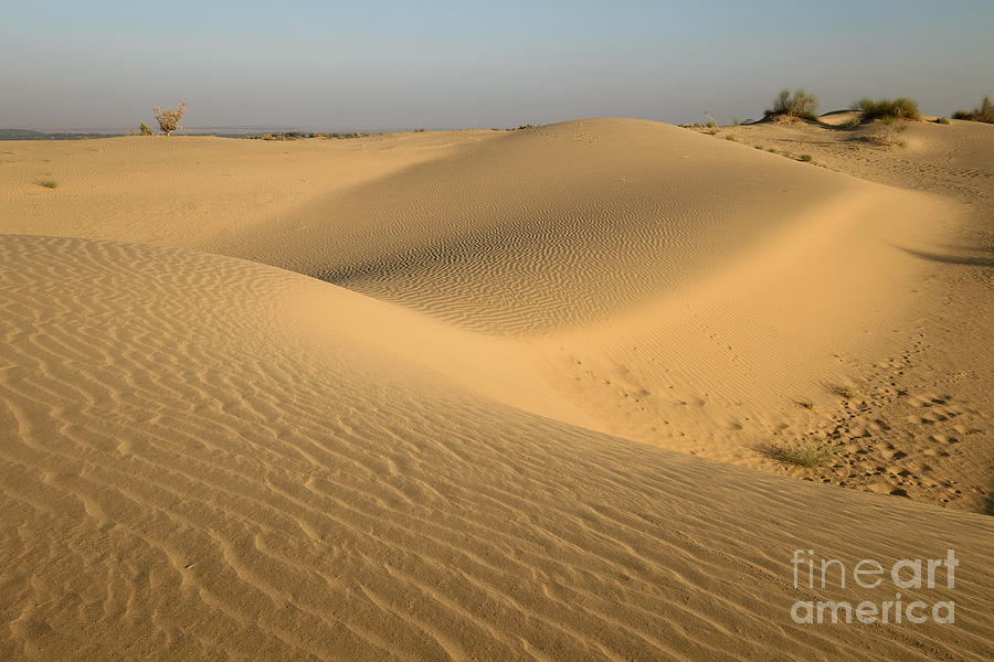 Desert by Yew Kwang Desert by Yew Kwang