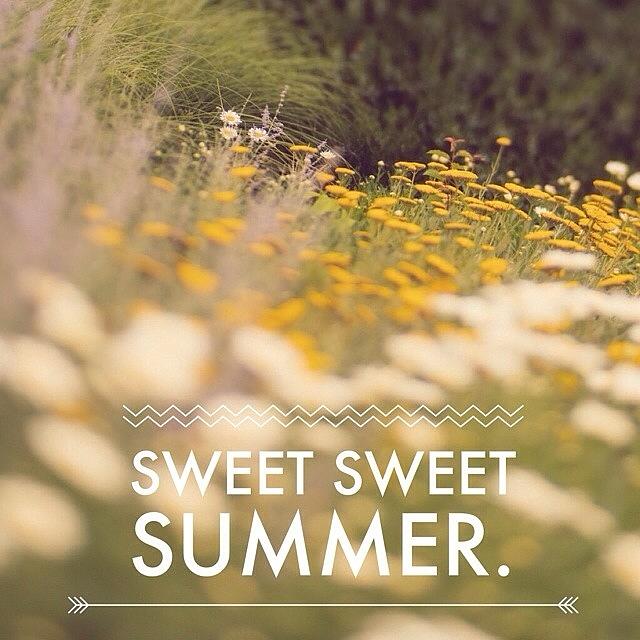 Summer Photograph - Designed In @wordswag #1 by Trina Baker