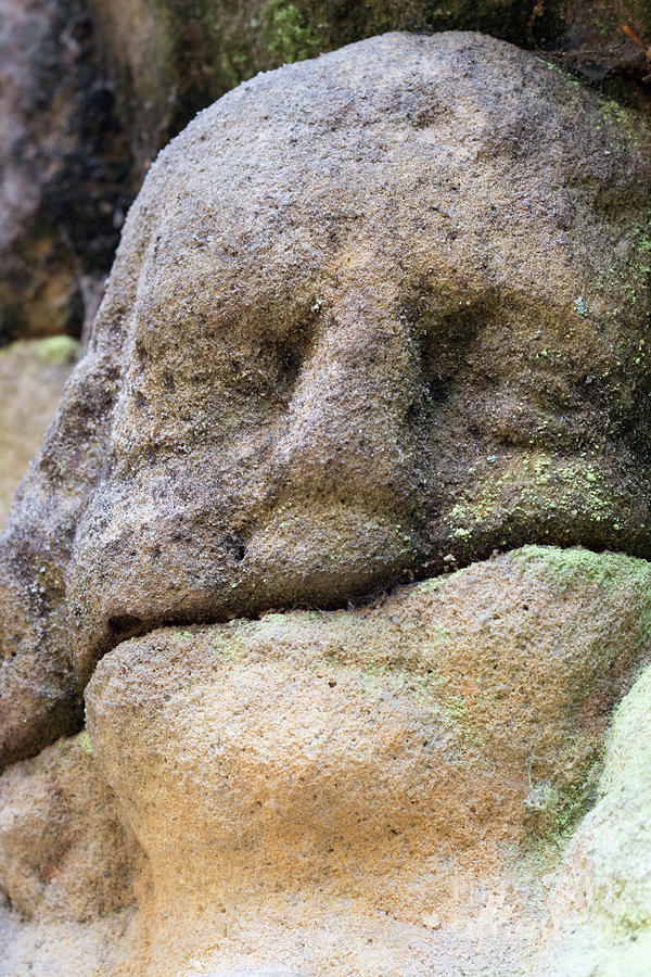 Detail of the stone head #1 Photograph by Michal Boubin