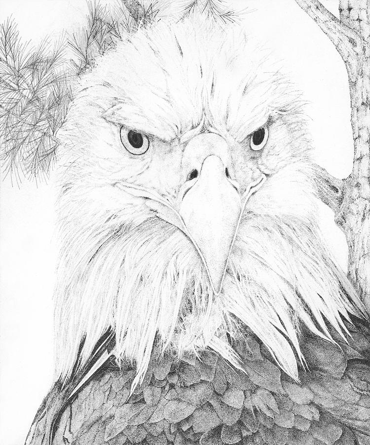 Determined Drawing by Stephen Houser - Fine Art America