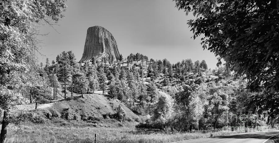 Devils Tower Black And White Panorama #1 Photograph by Adam Jewell