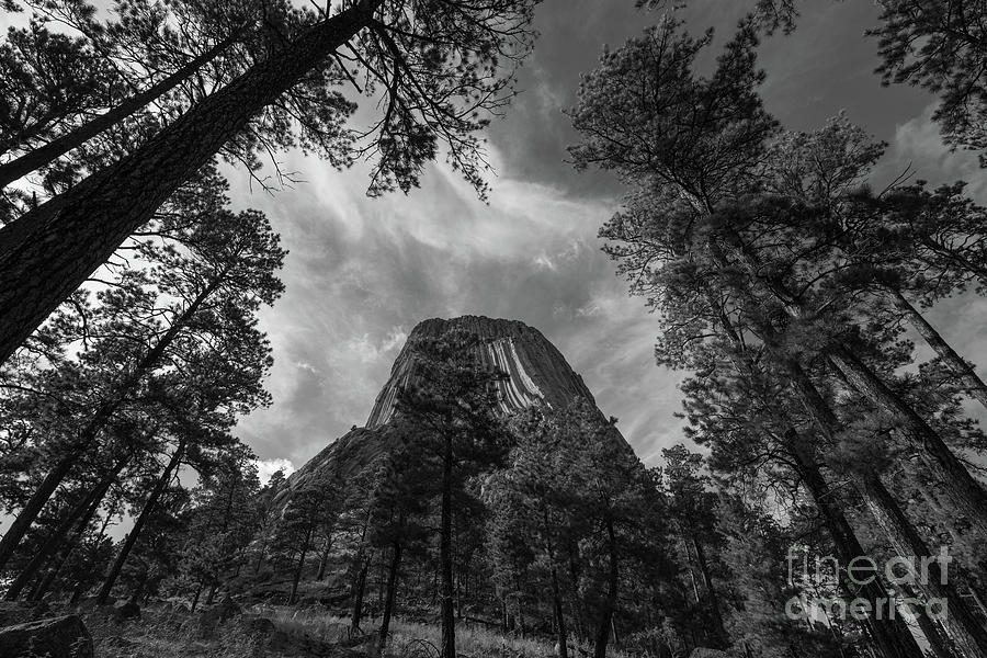 Devils Tower From Below BW #1 Photograph by Michael Ver Sprill
