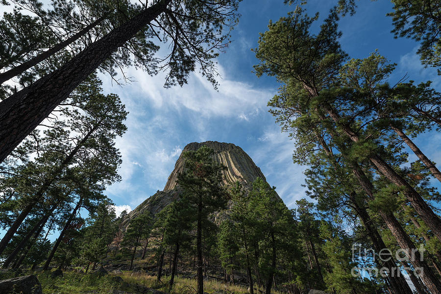 Devils Tower From Below   #1 Photograph by Michael Ver Sprill