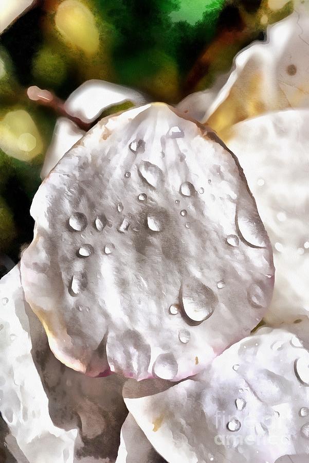 Dewdrops on almond tree flower #1 Painting by George Atsametakis