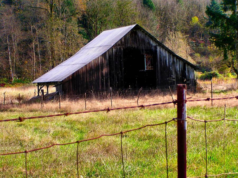 Dilapidated Barn #1 Photograph by A L Sadie Reneau