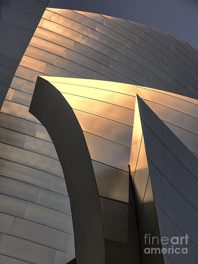 Architecture Photograph -  Gold Frank Gehry Architecture  by Chuck Kuhn