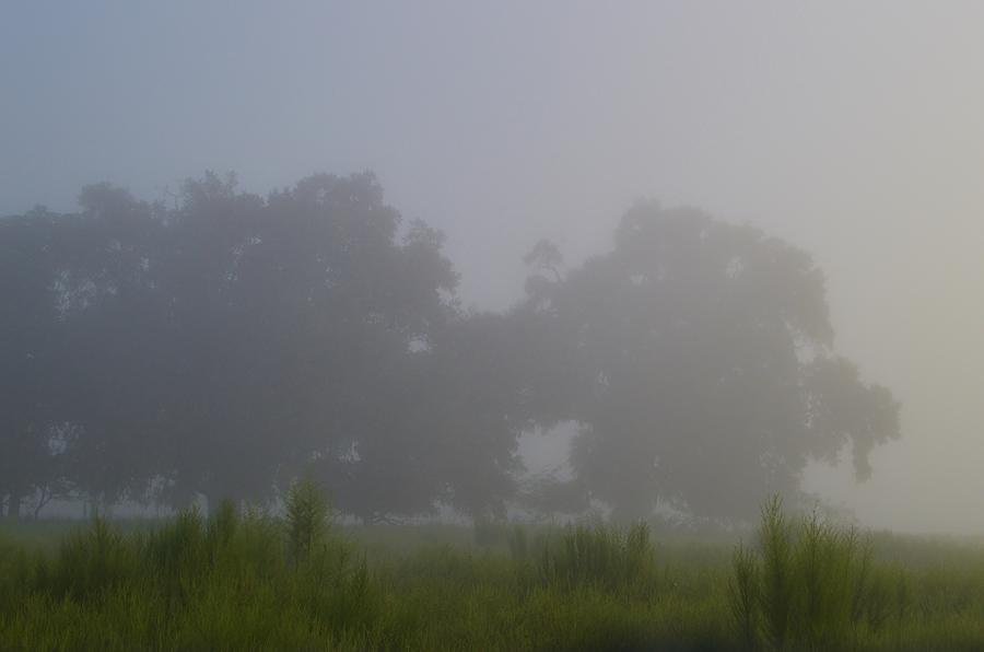 Distant Fog #1 Photograph by Warren Thompson