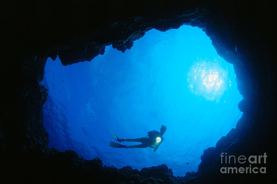 Diver At Cavern Entrance #1 Photograph by Dave Fleetham - Printscapes