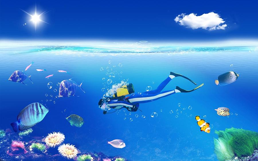 Fish Digital Art - Diving #1 by Super Lovely