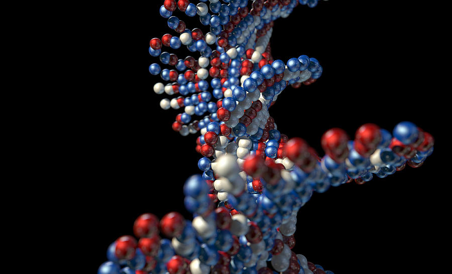 Ball Digital Art - DNA Atom Stem #1 by Allan Swart