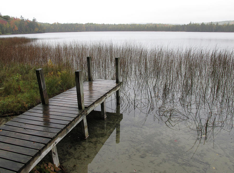 Dock Photograph by Robert Papps Fine Art America