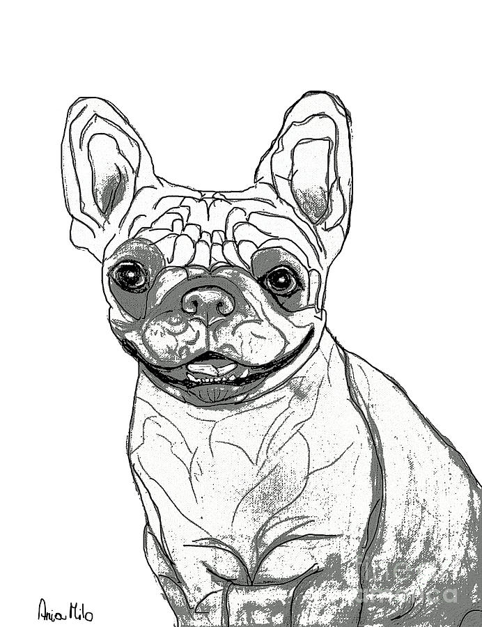 Dog Sketch in Charcoal 7 #2 Digital Art by Ania M Milo