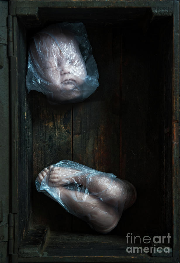 Doll Parts In Plastic Bags #1 Photograph by Lee Avison
