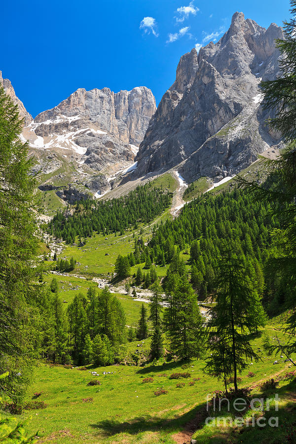Dolomiti - Contrin Valley #1 Photograph by Antonio Scarpi