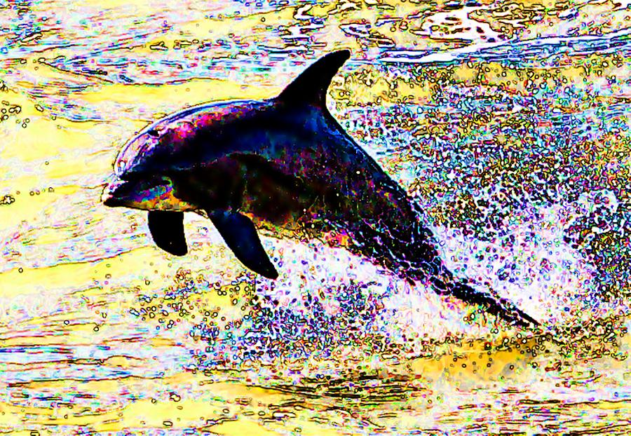 Dolphin #1 Photograph by John Collins