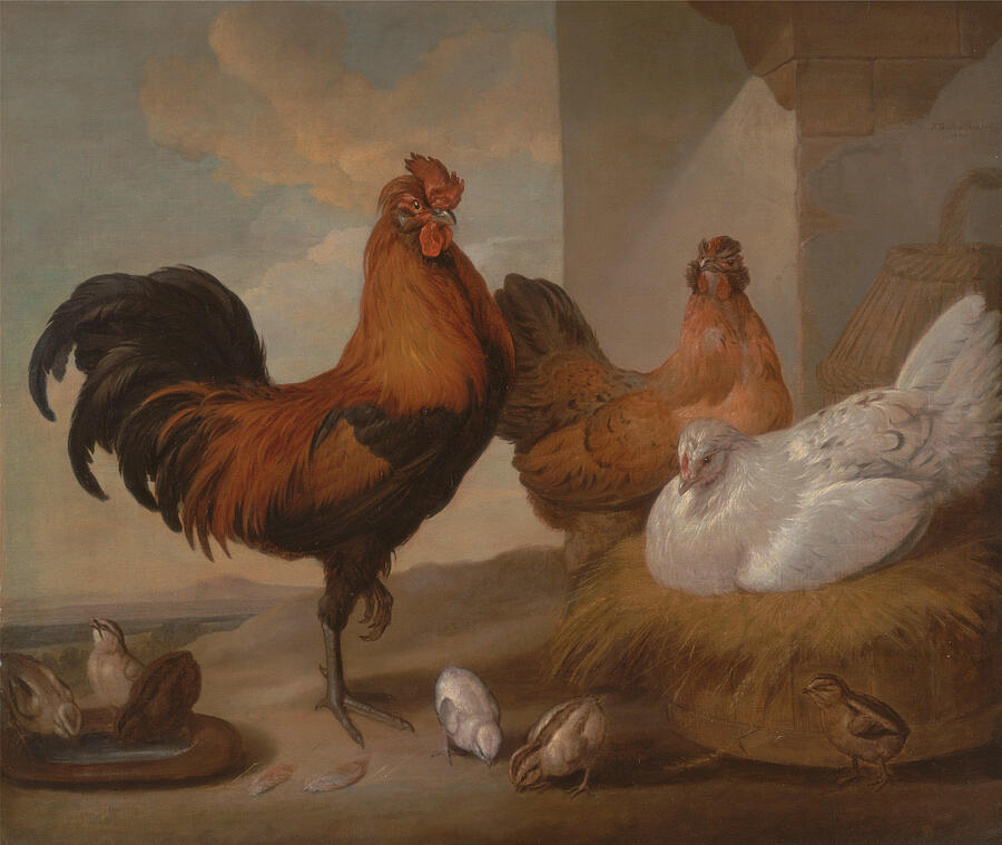 Domestic Cock Hens and Chicks #2 Painting by Francis Barlow