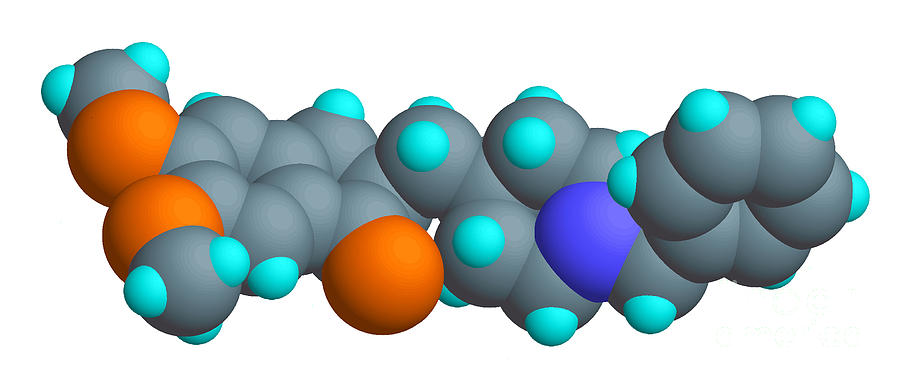 Donepezil Molecular Model #1 Photograph by Scimat