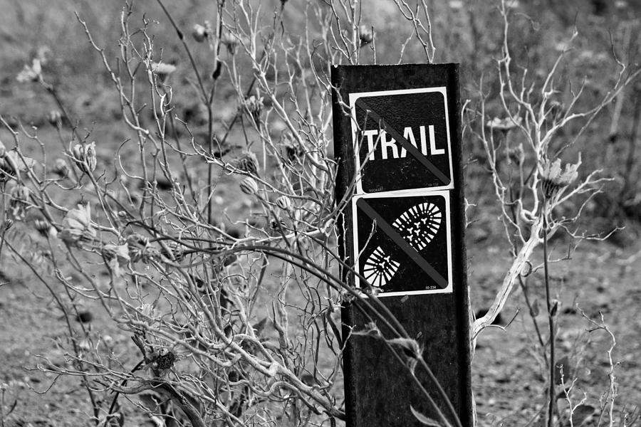 Dont Tread Here #1 Photograph by Daniel Woodrum
