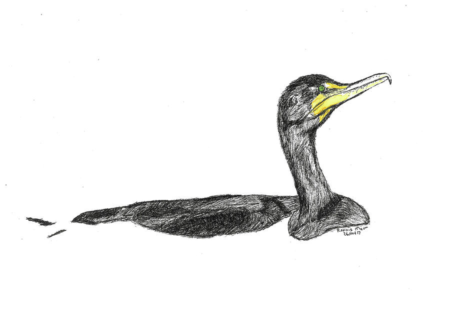 Double-crested Cormorant Mixed Media