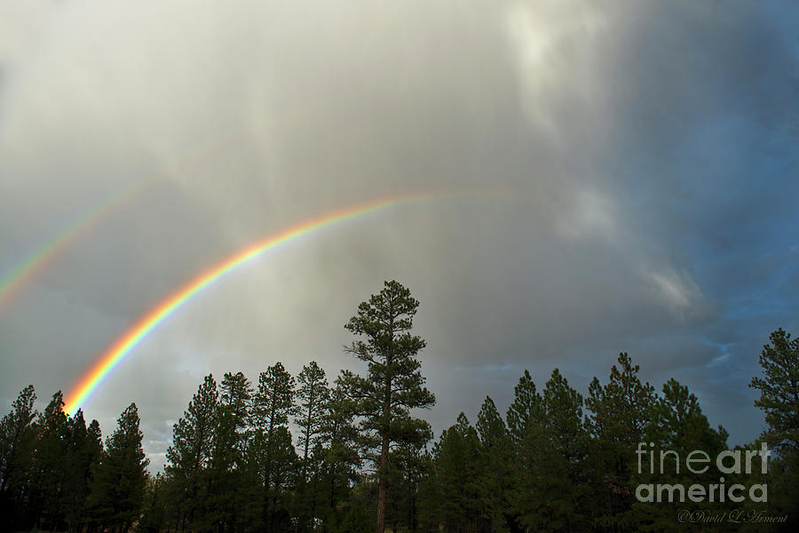 Double Rainbow #1 Photograph by David Arment