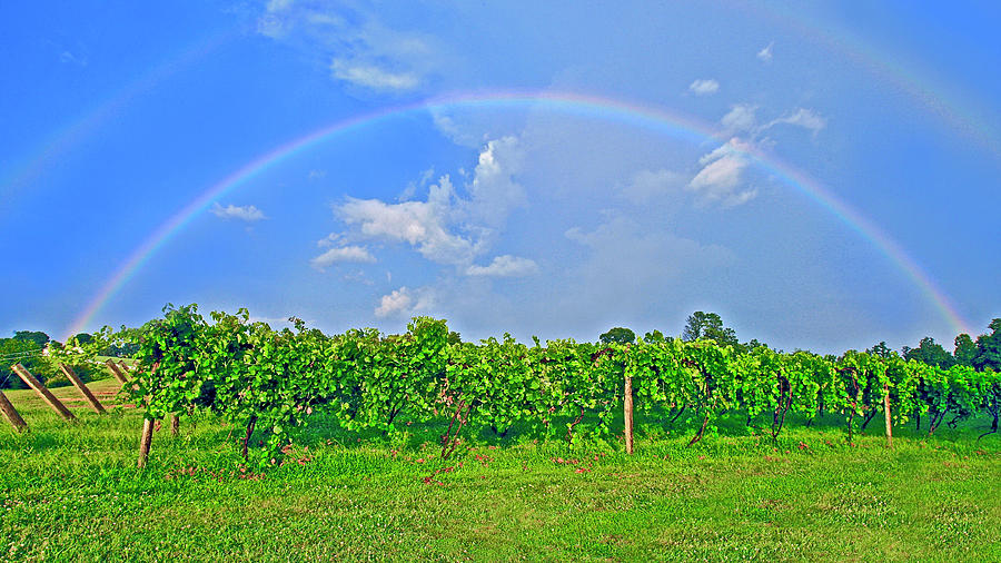 Double Rainbow Vineyard, Smith Mountain Lake #1 Photograph by The James Roney Collection